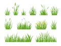Cartoon green meadow grass with flower, herbs and spike ears. Spring garden lawn horizontal borders. Field fresh natural Royalty Free Stock Photo