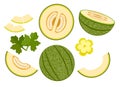 Cartoon green melon Royalty Free Stock Photo