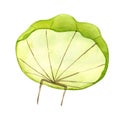 Cartoon green parachute watercolor illustration isolated on white.