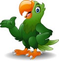 Cartoon green parrot presenting