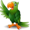 Cartoon green parrot waving Royalty Free Stock Photo