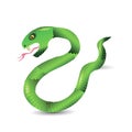 Cartoon Green Snakes