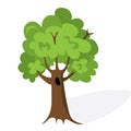 Cartoon green tree. Flat vector. Oak illustration, isolated on white background Royalty Free Stock Photo