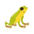 Cartoon green tree frog isolated on a white background. Colorful vector illustration for children in flat style. Royalty Free Stock Photo