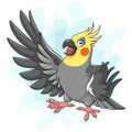 Cartoon Grey Cockatiel bird on White Background Royalty Free Stock Photo