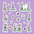 Cartoon grey hand drawn spring bunnies with flower
