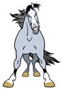 Cartoon grey horse