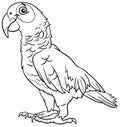 Cartoon grey parrot bird animal character coloring book page Royalty Free Stock Photo