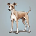 Cartoon Greyhound Dog Stylized Realism With Distinct Markings