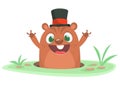 Cartoon groundhog looking out of a burrow. Happy groundhog day. Vector illustration. Royalty Free Stock Photo