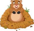 Cartoon groundhog looking out of hole Royalty Free Stock Photo