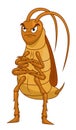 Cartoon grumpy cockroach