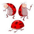 Cartoon grumpy ladybugs