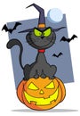 Cartoon halloween cat on pumpkin