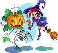 Cartoon Halloween cute witch on a broom and Jack pumpkin write a letter. Royalty Free Stock Photo