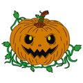 Cartoon halloween event party pumpkin design for decoration Royalty Free Stock Photo