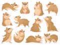 Cartoon hamsters. Cute pet in different poses, fluffy rodent and hamster mascot isolated vector Illustration set