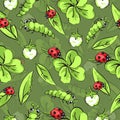 Cartoon hand drawing beetle ladybug and caterpillars, leaves and flowers of clover seamless pattern, vector background Royalty Free Stock Photo