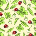 Cartoon hand drawing beetle ladybug and caterpillars, leaves and flowers of clover seamless pattern, vector background Royalty Free Stock Photo