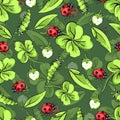 Cartoon hand drawing beetle ladybug and caterpillars, leaves and flowers of clover seamless pattern, vector background Royalty Free Stock Photo