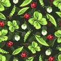 Cartoon hand drawing beetle ladybug and caterpillars, leaves and flowers of clover seamless pattern, vector background Royalty Free Stock Photo