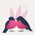 Pink robin birds in love with a present