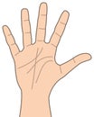 Cartoon Hand Number Five Icon