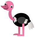 Cartoon happy animal bird ostrich safari isolated illustration for children Royalty Free Stock Photo