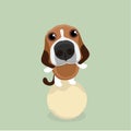 Cartoon happy beagle dog.