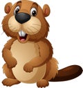 Cartoon happy beaver on white background Royalty Free Stock Photo
