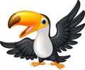 Cartoon happy bird toucan