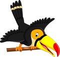 Cartoon happy bird toucan