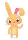 Cartoon happy bunny presenting with his hand. Vector illustration.