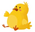 Cartoon happy chicken sitting isolated illustration Royalty Free Stock Photo