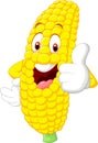Cartoon happy corn giving thumb up