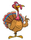 Cartoon happy cute thanksgiving turkey bird. Vector illustration isolated. Design for Thanksgiving Day Royalty Free Stock Photo