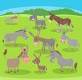 cartoon happy donkeys farm animal characters set