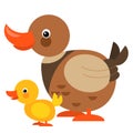 Cartoon happy farm animal cheerful duck family illustration Royalty Free Stock Photo