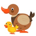 Cartoon happy farm animal cheerful duck family illustration Royalty Free Stock Photo