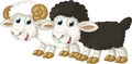 Cartoon happy farm animal cheerful pair of sheep isolated illustration for children
