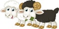 Cartoon happy farm animal cheerful pair of sheep isolated illustration for children