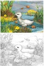 Cartoon happy and funny farm scene with happy bird duck sketchbook illustration Royalty Free Stock Photo