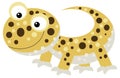 cartoon happy and funny lizard gecko looking and smiling isolated illustration for children Royalty Free Stock Photo