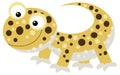 cartoon happy and funny lizard gecko looking and smiling isolated illustration for children