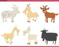 cartoon happy goats farm animal characters set Royalty Free Stock Photo