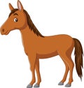 Cartoon happy horse on white background