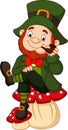 Cartoon happy leprechaun sitting on the mushroom, Royalty Free Stock Photo