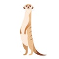 Cartoon happy meerkat Royalty Free Stock Photo