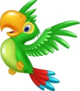 Cartoon happy parrot flying
