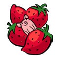 Funny vector small pig and giant strawberry